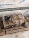 Коробка передач (КПП) ZF AS-Tronic 12 AS 2331 TD (MAN Euro 5/6) 81.32004-6089 12 AS 2331 TD деталь 3 - TIR-розборка Славута