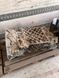 Коробка передач (КПП) ZF Ecosplit 16 S 221 IT / 1316041755 16S221IT деталь 3 - TIR-розборка Славута