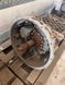 Коробка передач (КПП) ZF Ecosplit 16 S 221 IT / 1316041755 16S221IT деталь 2 - TIR-розборка Славута